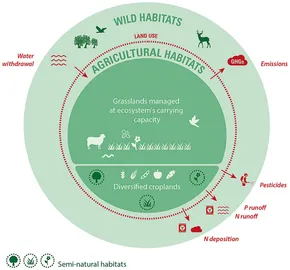 A safe agricultural space for biodiversity
