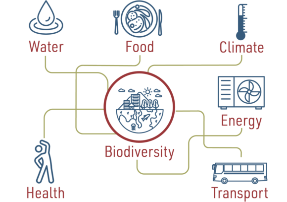 BIONEXT biodiversity nexus