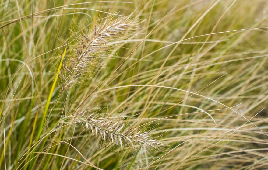 BioValue celebrates the International Day for Biological Diversity