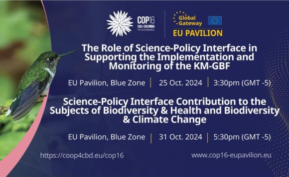 CO-OP4CBD, BioAgora, RESPIN, and Biodiversa+ at the UN CBD COP16