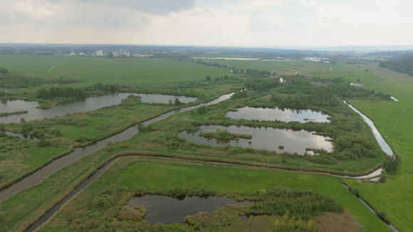 Navigating Transformation: Perspectives on Peatland Futures in Mecklenburg-Vorpommern